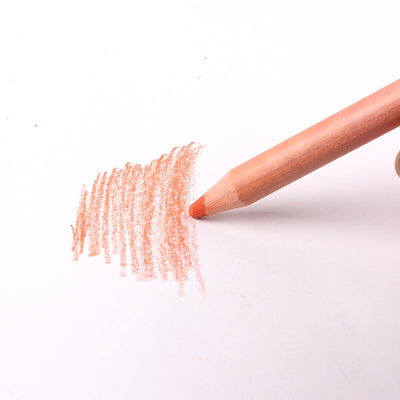12pcs Soft Skin Toned Pastel Pencils