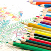 Faber-Castell Classic Color Pencil Sets
