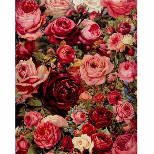 Rose Universe - Painting By Numbers Kit