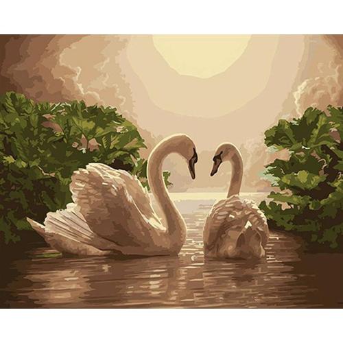 Swan Moonlight Lake - Painting By Numbers Kit