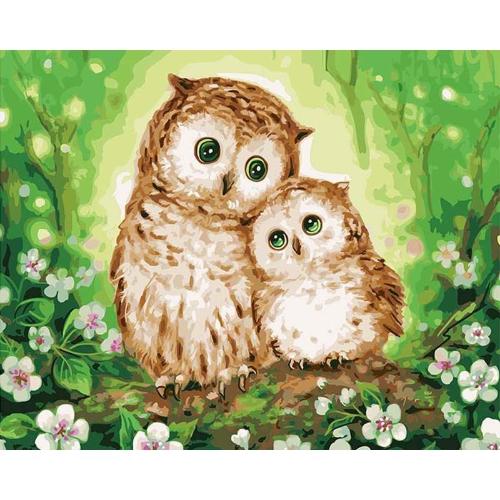 Glowing Owl Family - Painting By Numbers Kit