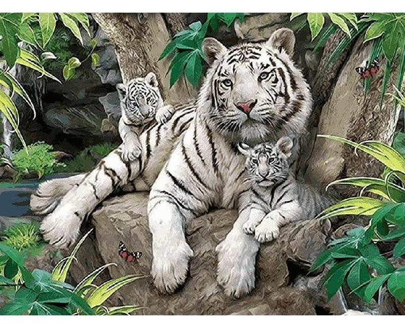 White Tigers Family - Painting By Numbers Kit
