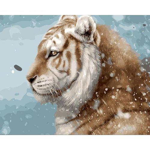 Tiger In Snow - Painting By Numbers Kit