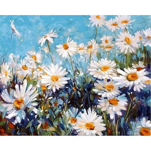 Field of Daisies - Painting By Numbers Kit