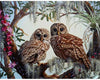 Owl Couple in Love - Painting by Numbers Kit