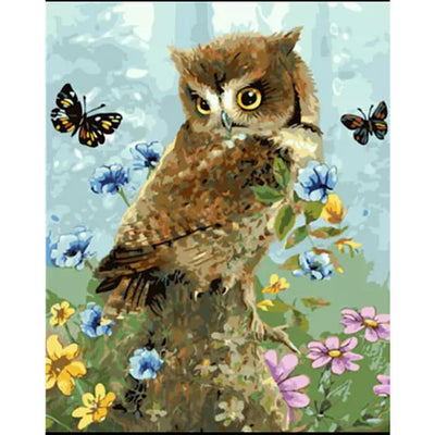 Cute Baby Owl - Painting by Numbers Kit