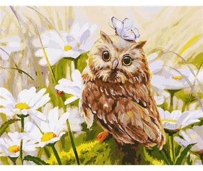 Cute Baby Owl - Painting by Numbers Kit