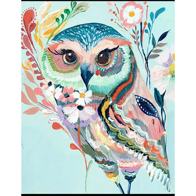 Cute Baby Owl - Painting by Numbers Kit