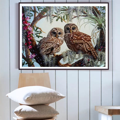 Owl Couple in Love - Painting by Numbers Kit